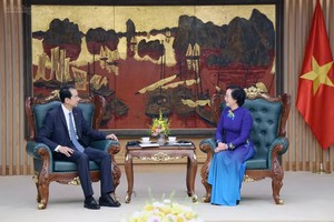 党中央书记处书记、政府副总理范氏清茶会见中国驻越南大使何炜。图自chinhphu.vn