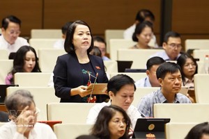 宣光省国会代表发表讲话。