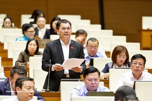 林同省代表杨克梅发表意见。