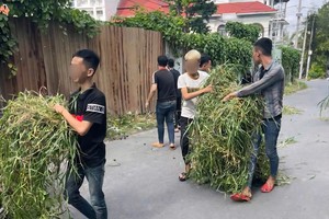 一群青少年在上街狂欢时做出过激行为后清扫街道。 