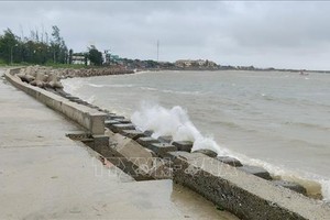 8月24日上午10时，白龙尾特区出现大雨，西南偏西风力达5至6级，阵风7级，平均浪高1.8米，海上波涛汹涌。图:越通社发