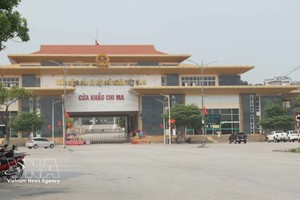 芝麻（越南）—爱店（中国）口岸通关活动基本恢复。