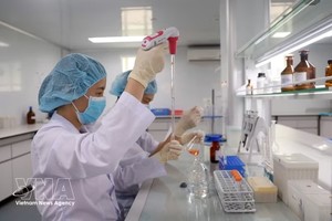 卫生部位于庆和省的疫苗与医学生物制品研究院的研究人员正在进行疫苗研究与检定工作。
