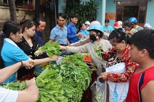 人们在“零元展位”上免费挑选新鲜蔬菜和生活必需品。