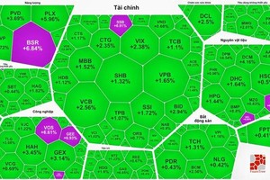 绿色、紫色笼罩了整个市场。
