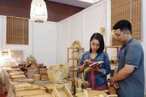 附图。