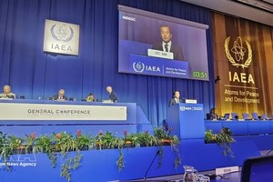 科学与技术部所属辐射与核安全局局长阮黄灵在全体会议上致辞。