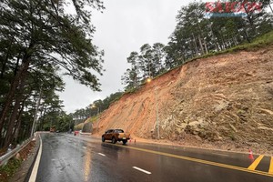 帕簾岭发生山体滑坡的区域。图：段坚