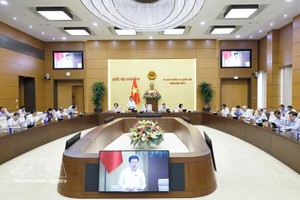 国会副主席阮鸿延发表讲话。