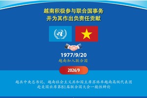 越南积极参与联合国事务并为其作出负责任贡献