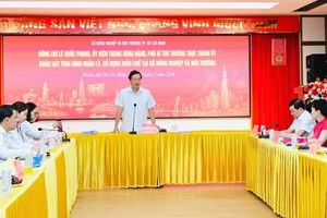 胡志明市市委常务副书记黎国峰在视察时发表指导意见。图：越勇