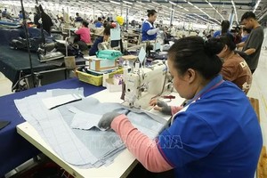 位于芹苴市渭清坊的芽皮-后江股份公司正在履行出口订单。图:维姜/越通社