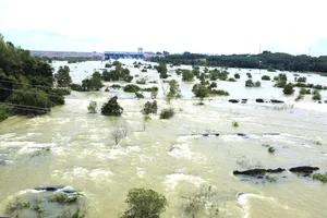 同奈市治安水电站连续第4天泄水。图：富银