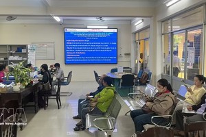 顺化市就业服务月吸引众多劳动者参加应聘、求职。
