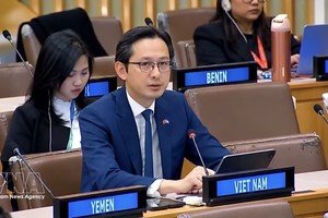 越南常驻联合国代表团团长杜雄越大使。