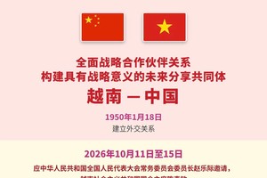 越中全面战略合作伙伴关系 构建具有战略意义的未来分享共同体 
