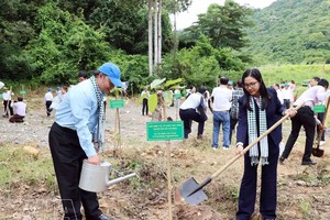 胡志明市各友好组织联合会（HUFO）领导在昆岛特区“友谊树林”植树。