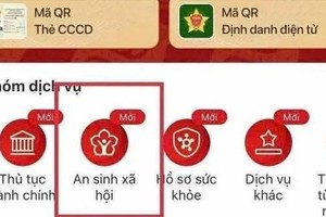 VNeID应用程式中的社会民生账户。截图