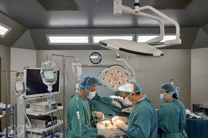 越南医疗在器官移植、心脏介入、机器人手术、胎儿心脏介入、辅助生殖和癌症治疗等诸多高新技术领域日益确立专业能力。