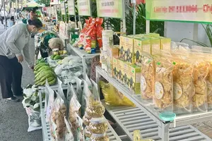 市民前往平富坊2026年胡志明市及各省市安全农产品展示点购物。图：清贤
