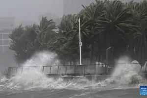 Bão Matmo đổ bộ Trung Quốc. Ảnh: XINHUA