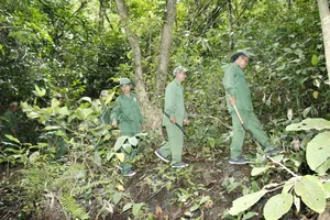 Bình Phước: Nâng cao hiệu quả kinh tế rừng gắn với phát triển du lịch 