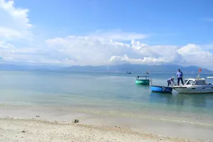 Khu vực EVNGENCO3 xin "đổ" 2,4 triệu m3 vật liệu xuống biển chỉ cách Khu bảo tồn biển Hòn Cau 10 hải lý.