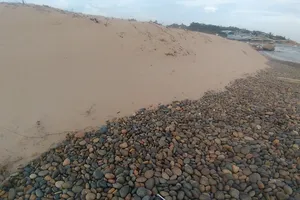 Khu vực bãi đá 7 màu và bãi rêu Bình Thuận bị xâm hại.