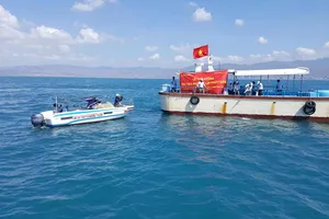 Hàng trăm ngàn con tôm sú, ốc hương, cá bớp giống đã được thả xuống biển Bình Thuận.