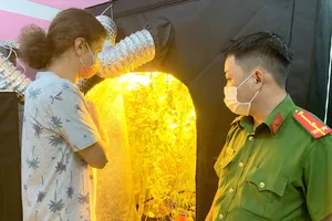 Đối tượng người nước ngoài đã lắp đặt lều bạt, hệ thống tưới tiêu, đèn điện chiếu sáng và điều hòa nhiệt độ để trồng cần sa. Ảnh: P.D.T.