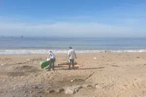 Thi thể người đàn ông được phát hiện trên bãi biển.