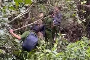 Lực lượng chức năng tổ chức tìm kiếm nữ du khách bị mất tích trong rừng Tà Cú