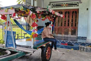 Sau khi bị cấm chở khách, nhiều chiếc xe bò của người dân thị xã La Gi buộc phải đưa về bỏ không