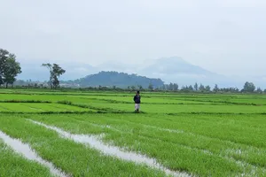 Khánh Hòa chuyển đổi hàng nghìn hecta đất phi nông nghiệp sang đất nông nghiệp