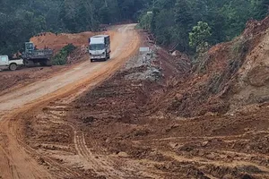 Dự án cải tạo, nâng cấp Quốc lộ 28B qua tỉnh Bình Thuận cần chuyển đổi hơn 19,7ha rừng