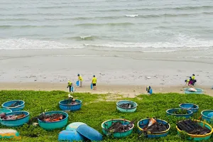 Bãi biển làng chài Mũi Né đã thông thoáng trở lại