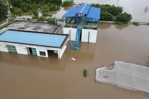 Nhà máy nước Bắc Bình ngập sâu trong nước lũ