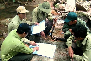 Lực lượng kiểm lâm kiểm tra thực trạng rừng tại Lâm Đồng