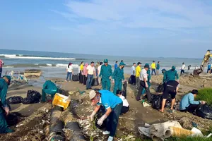 Các lực lượng dọn rác tại bãi biển Mũi Né