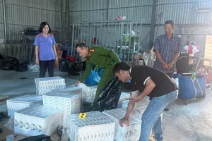 Cơ quan chức năng bắt giữ đối tượng cùng tang vật để phục vụ điều tra