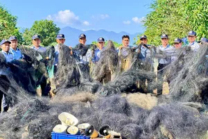 Cần hoàn thiện các giải pháp bảo tồn chim yến Khánh Hòa