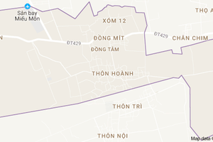 Dong Tam commune, My Duc district. (Source: VNA)
