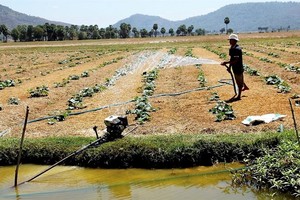Ensuring water security is becoming an urgent task for Vietnam in the context of climate change impacting all aspects of life, heard a conference on Wednesday. (Photo: baotainguyenmoitruong.vn)