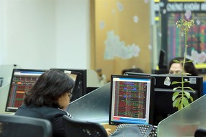 Investors at Bao Viet Securities Company. (Photo: VNS)