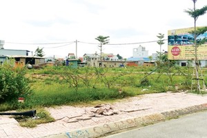 Housing land offered for sale in District 9, HCMC (Photo: SGGP)