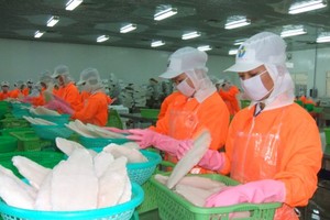 Workers at a pangasius fish processing plant in the Mekong Delta. The fish export slightly increased in the first five months this year (Photo: SGGP)