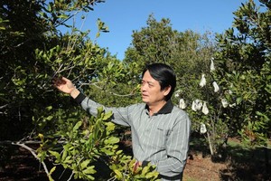 Mr Nguyen Duc Huong was permanent deputy chairman of Vietnam Macadamia Association for a month until voted to LienVietPostBank's board of directors on June 5