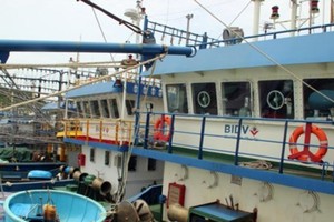 Damaged fishing boats have harbored at De Gi port for many months in Phu Cat district, Binh Dinh province, greatly affecting local fishermen’s livelihood (Photo: SGGP)
