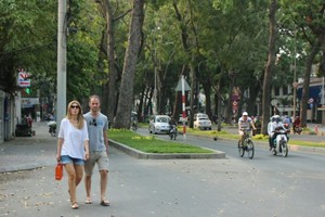 143 trees will be chopped down in Ton Duc Thang street, HCMC for building of Thu Thiem 2 bridge