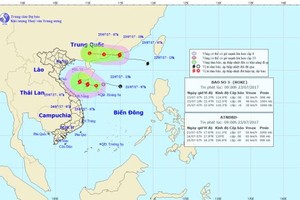 Direction of Typhoon Roke and a tropical depression in the East Sea on July 23 (Photo: national weather bureau)